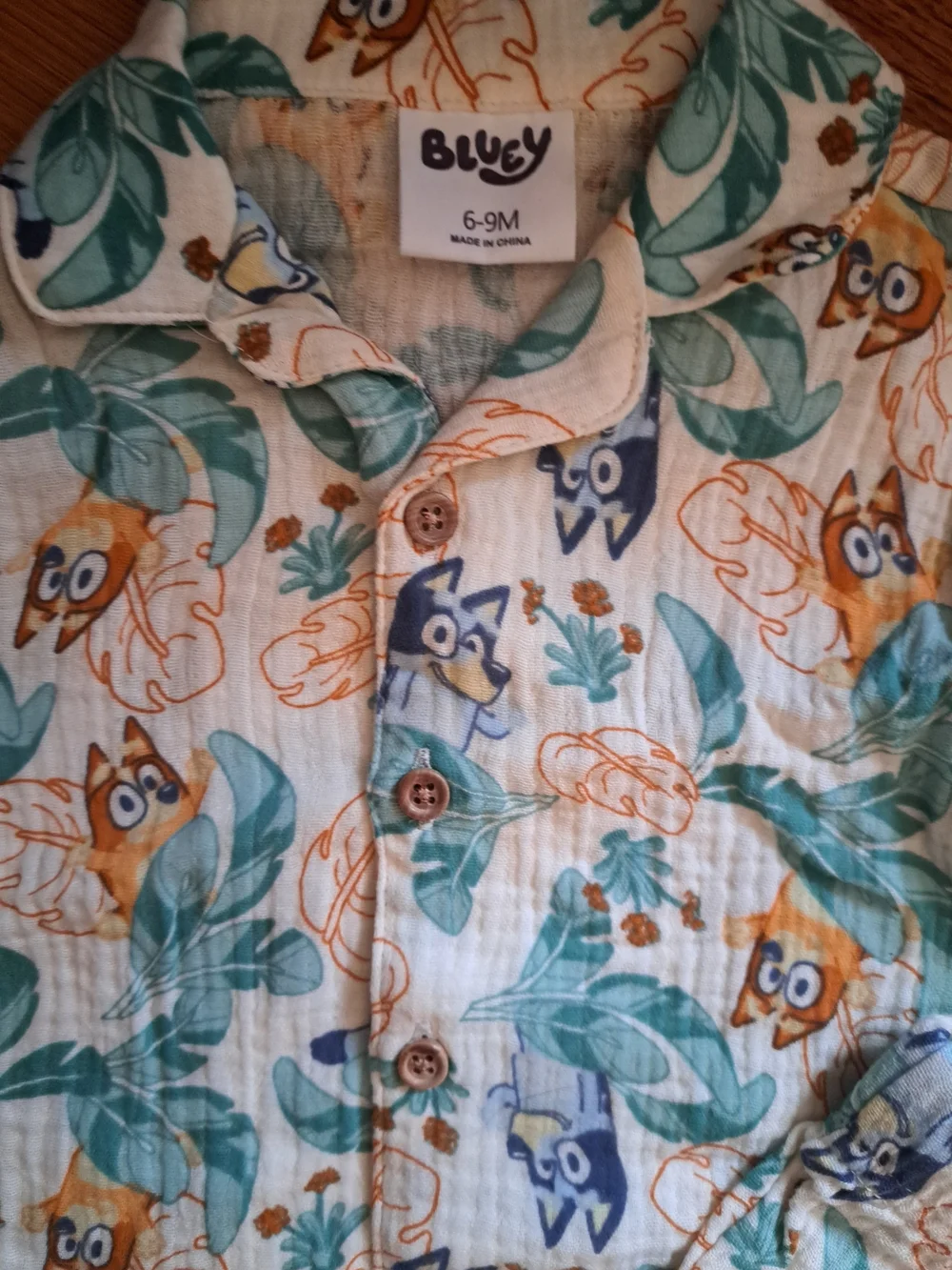 Boys Bluey Set